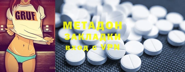 прущие грибы Алзамай