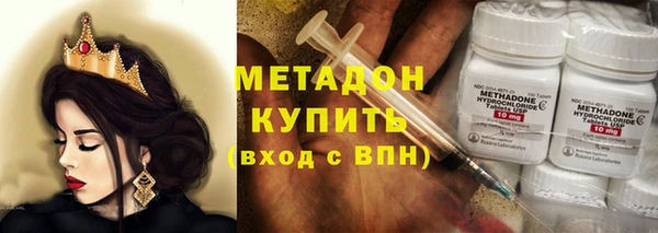 прущие грибы Алзамай