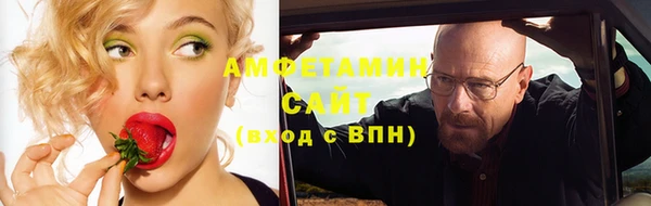 прущие грибы Алзамай