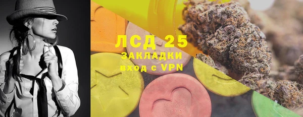 прущие грибы Алзамай