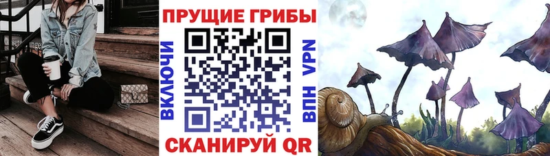что такое наркотик  Липки  Псилоцибиновые грибы MAGIC MUSHROOMS 